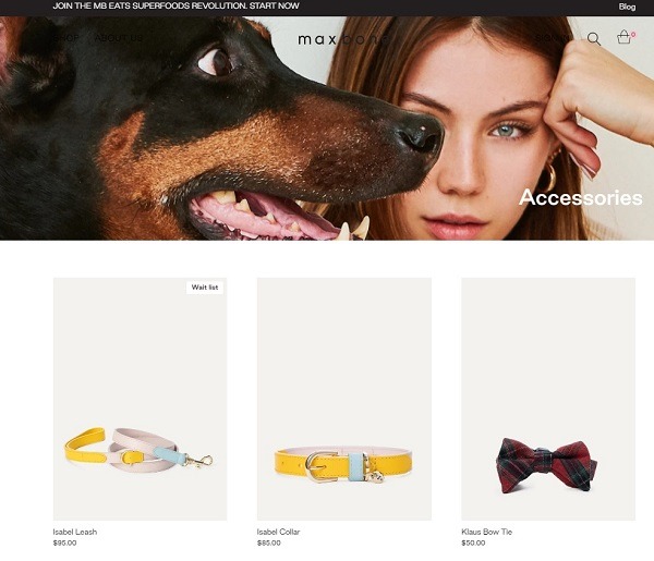 pet dog collar designer example
