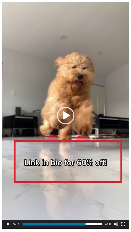 TikTok promotion example CTA