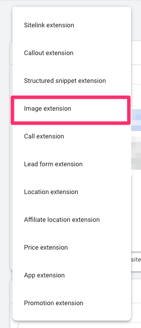 ad extension types google