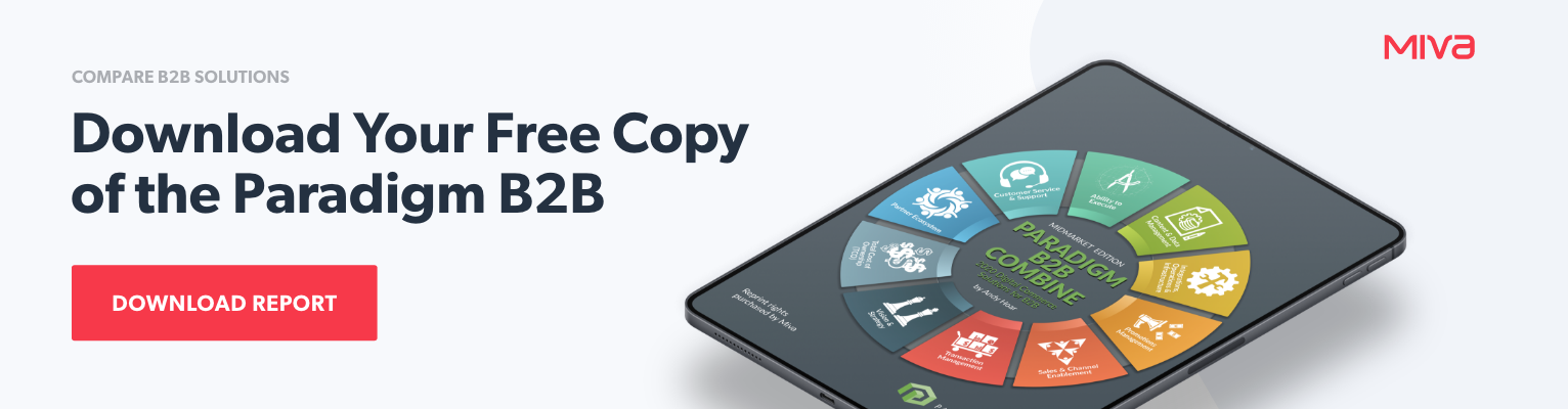 Click to Download Your Free Copy of the Paradigm B2B Report
