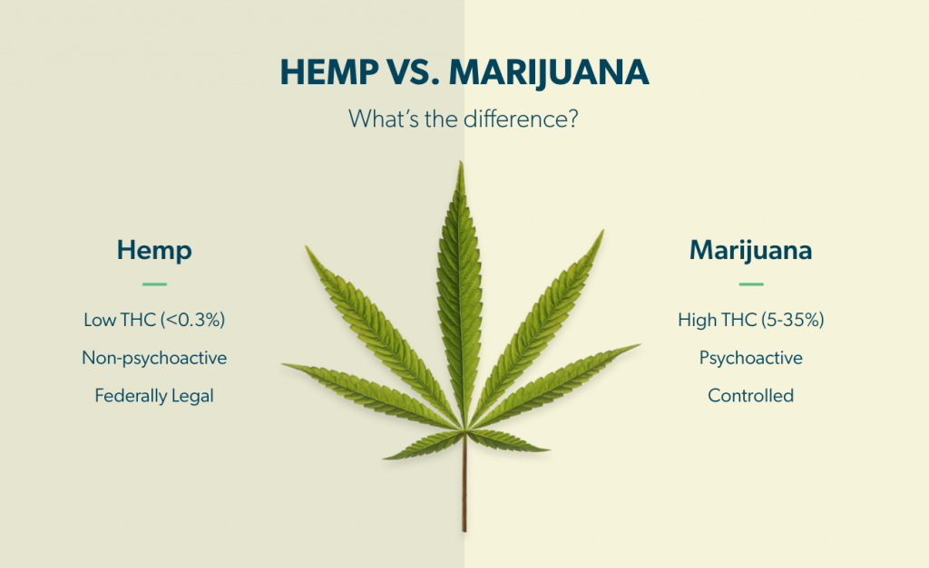 CBD Business - Hemp vs. Marijuana